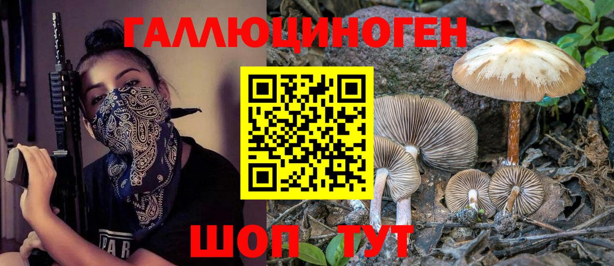 Псилоцибиновые грибы мухоморы Долгопрудный