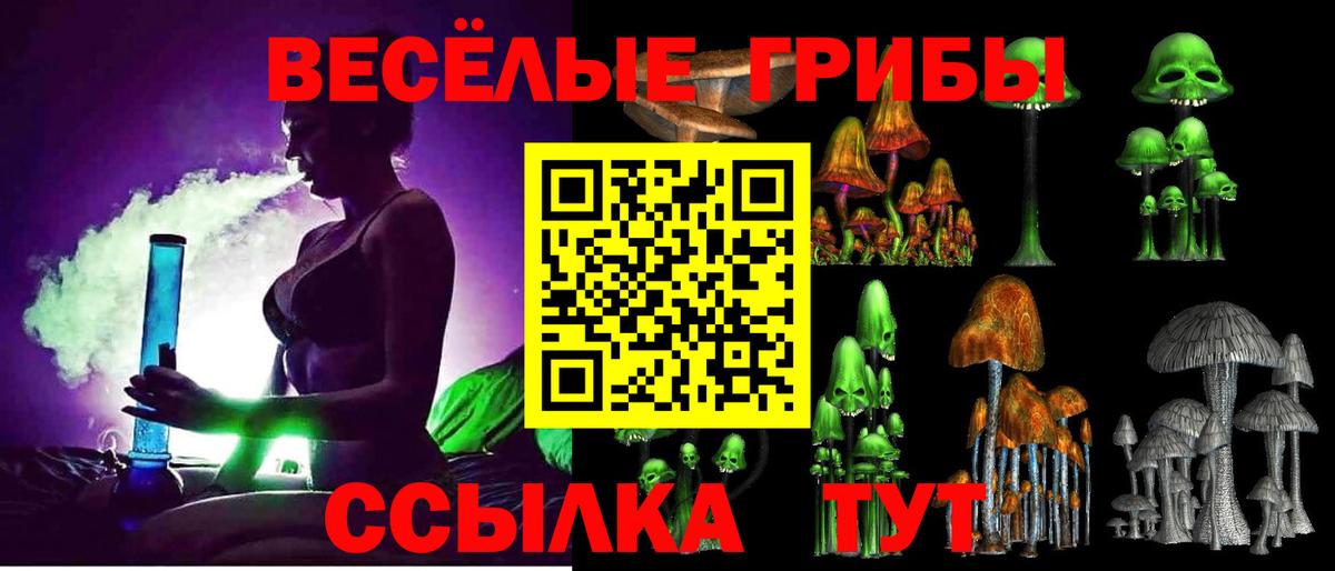 Долгопрудный  Псилоцибиновые грибы Psilocybe  Псилоцибиновые грибы Cubensis  Вход с VPN 